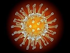 Biosynex��Ⱦ�������\��ԇ���У��z�w�𷨣�